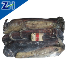 Equatorial squid/peru giant squid whole round for dried squid